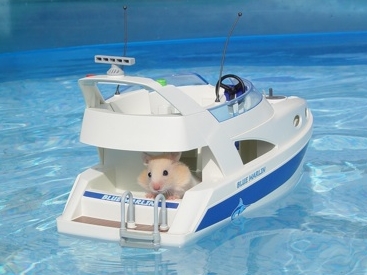 HamsterBoot